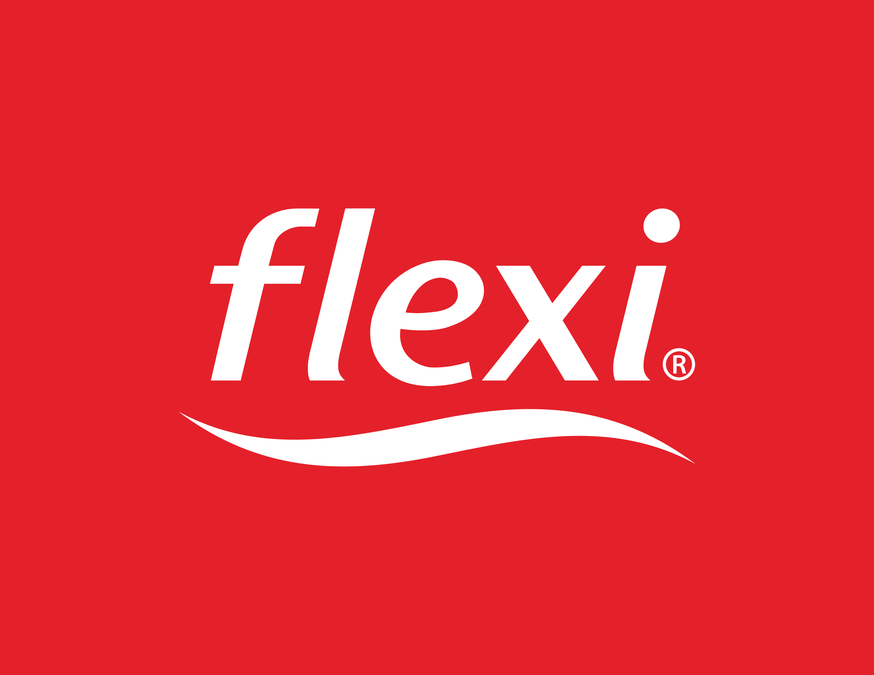 Grupo Flexi